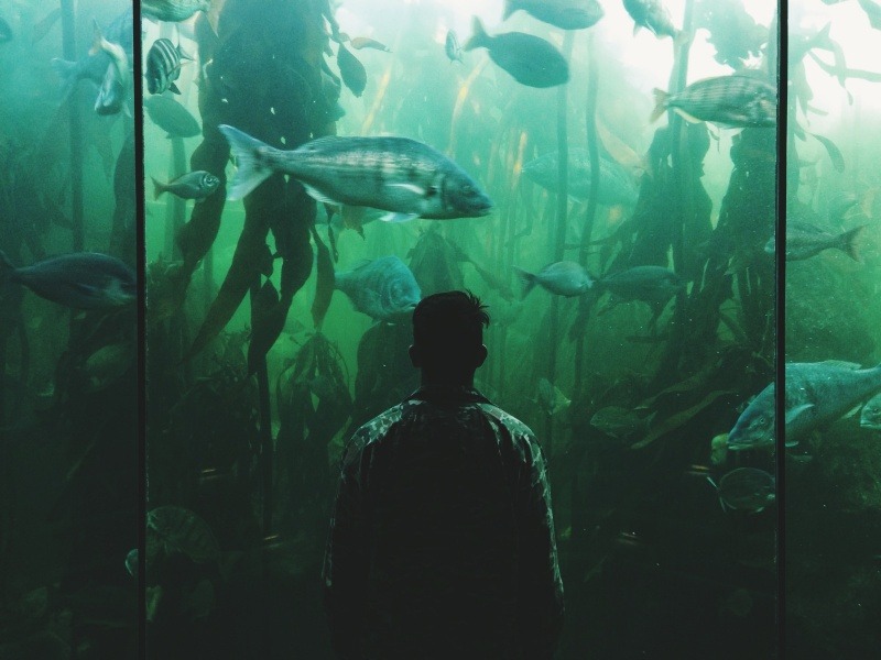 Archillect ID 71423