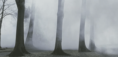 Archillect ID 71510