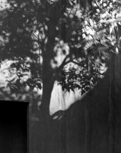 Archillect ID 71689