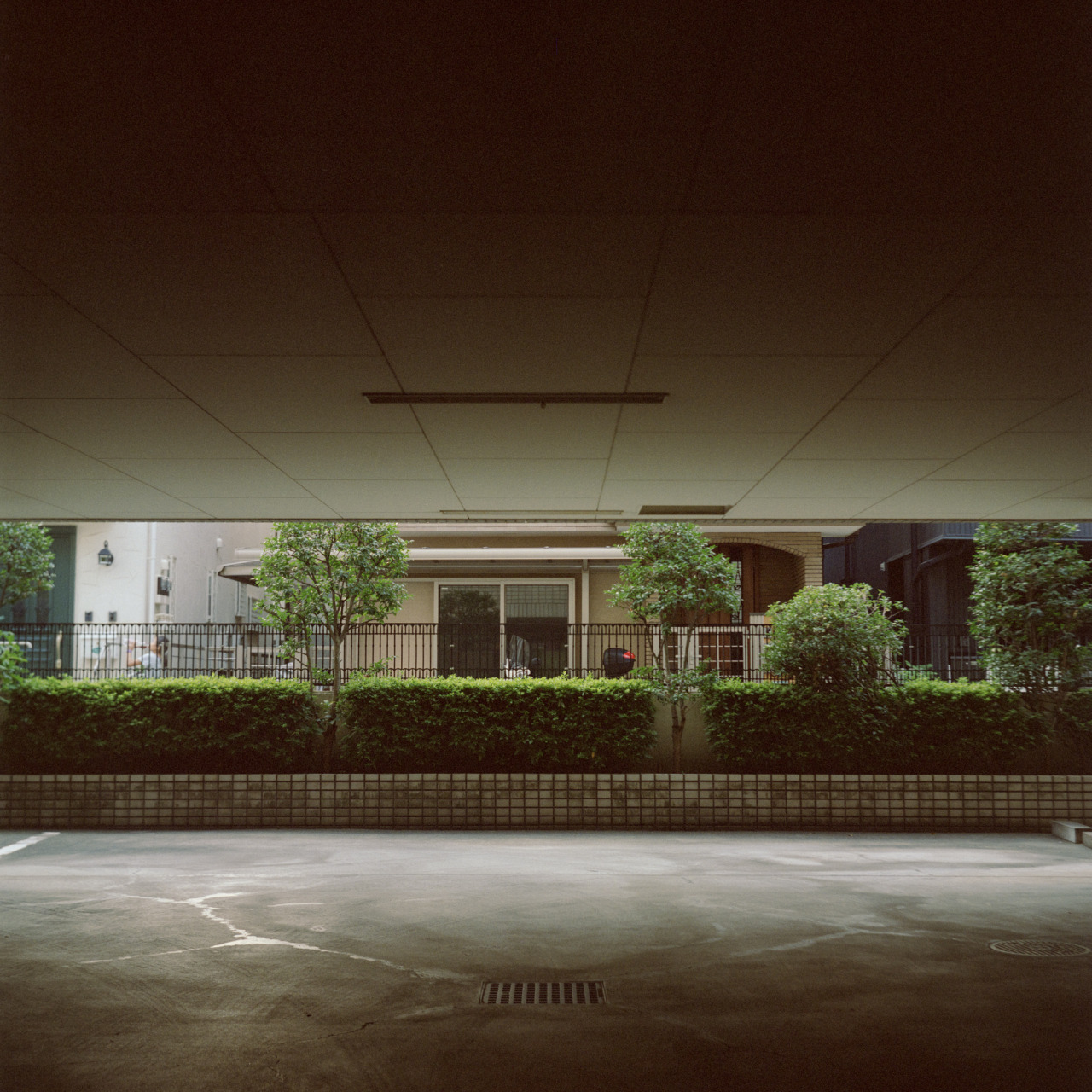 Archillect ID 71763