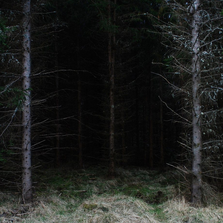 Archillect ID 72010