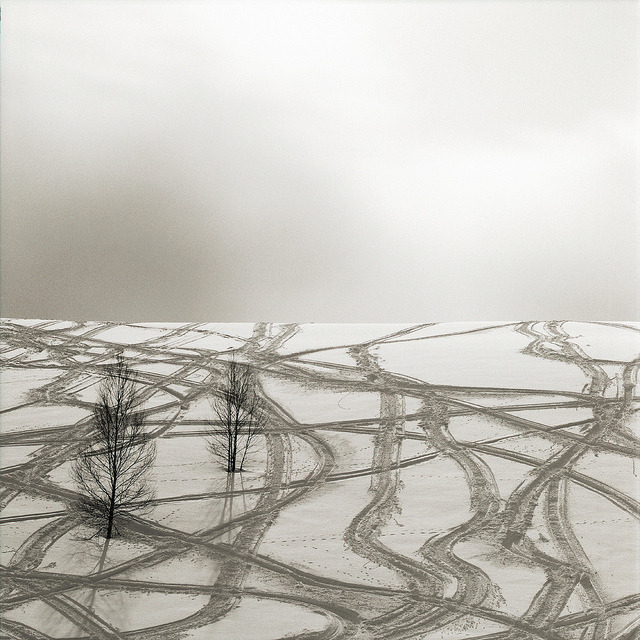Archillect ID 72291