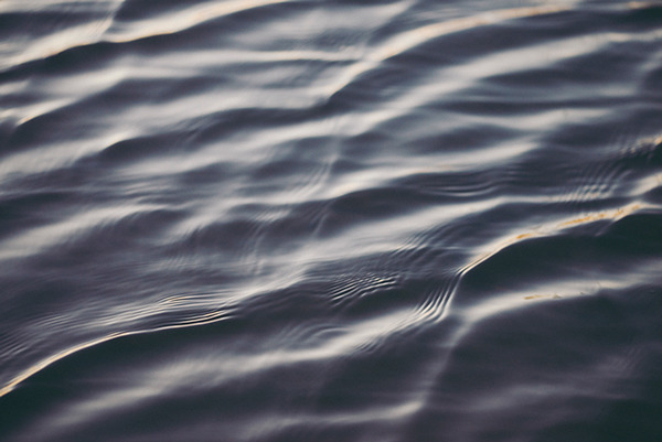 Archillect ID 72332
