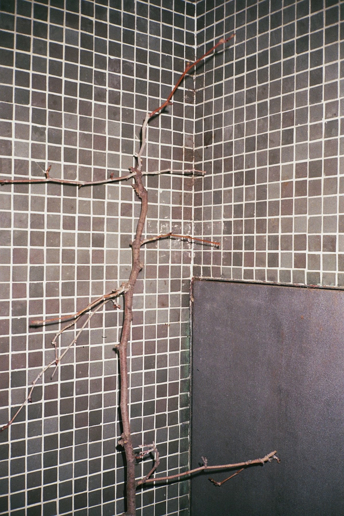 Archillect ID 72333