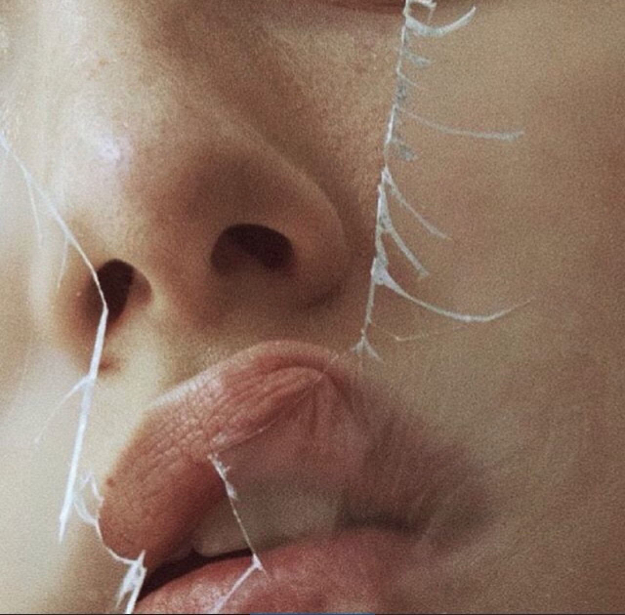 Archillect ID 72348