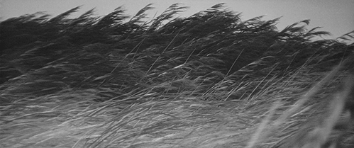 Archillect ID 72354