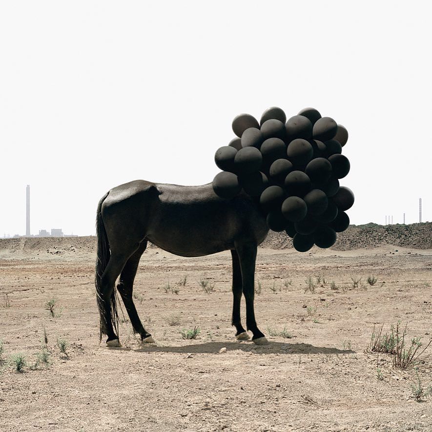 Archillect ID 72370