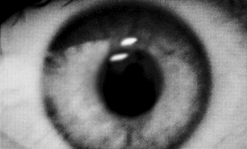Archillect ID 72550