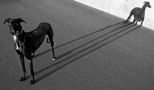 Archillect ID 72565