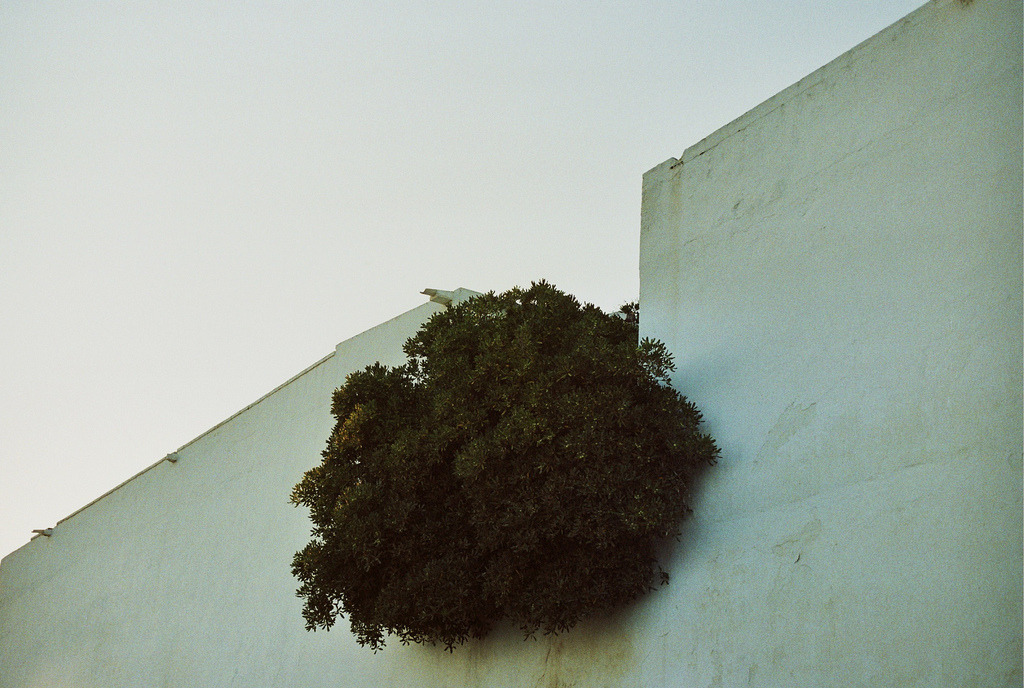 Archillect ID 72755
