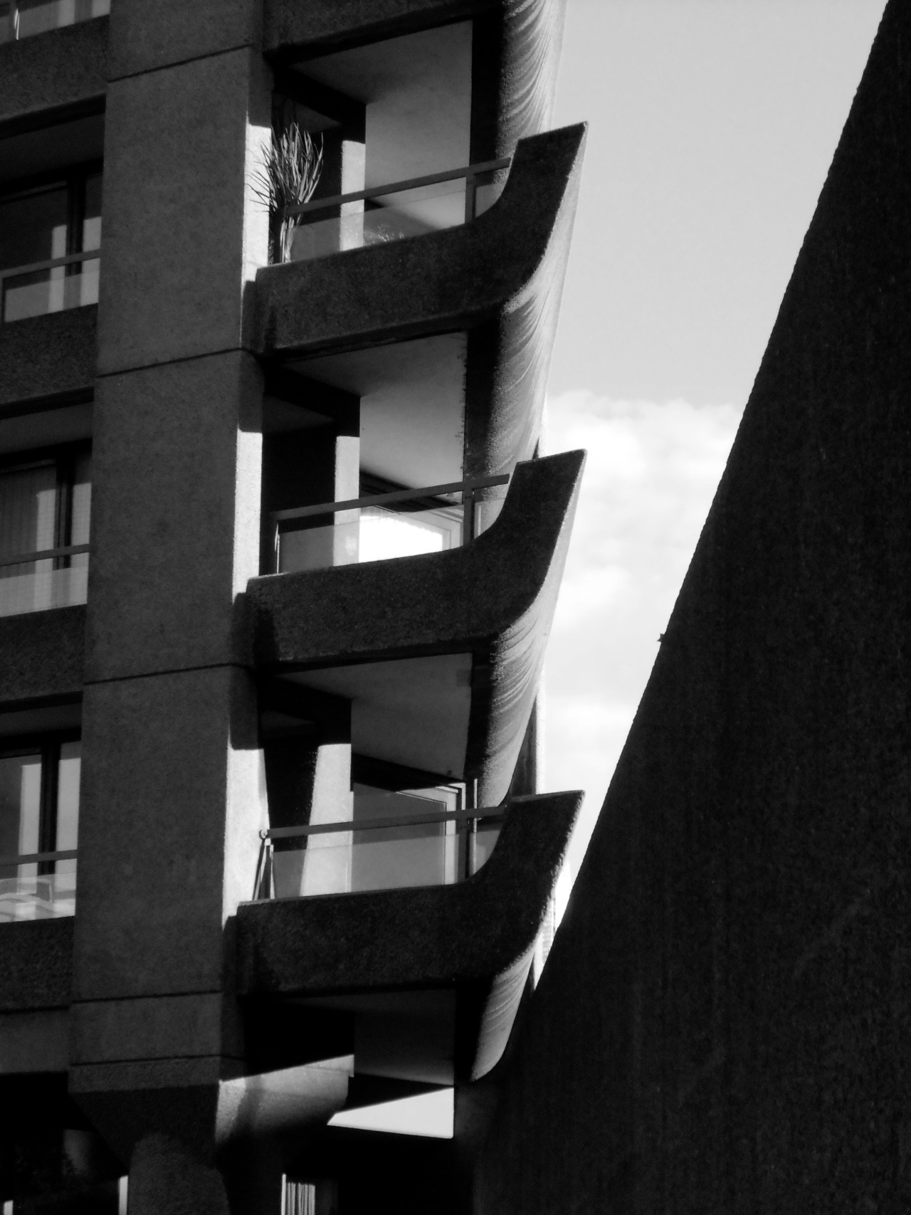 Archillect ID 72789