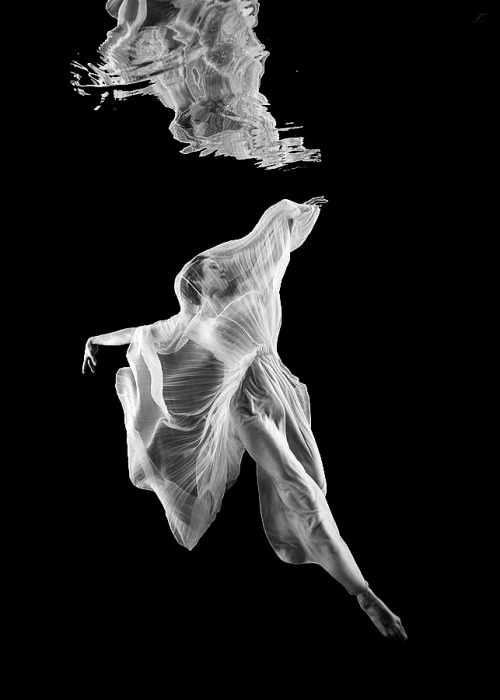 Archillect ID 72815