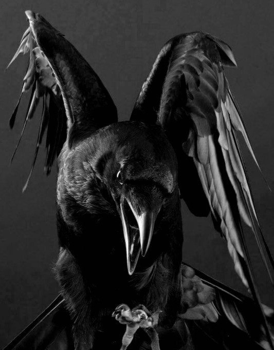 Archillect ID 72829