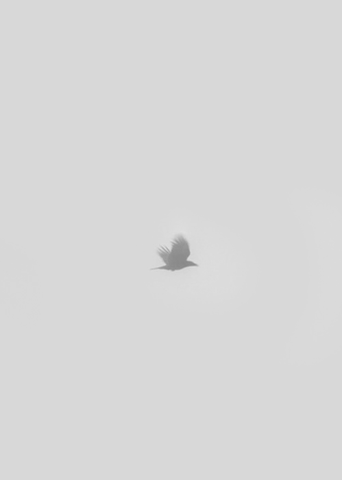 Archillect ID 72926