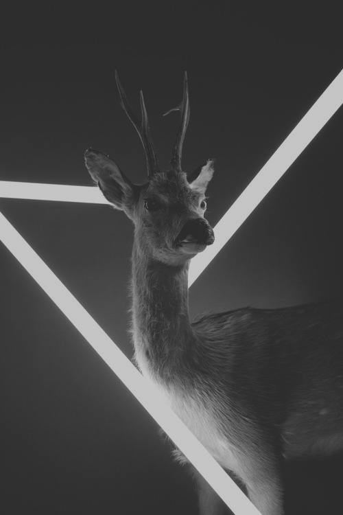 Archillect ID 72936