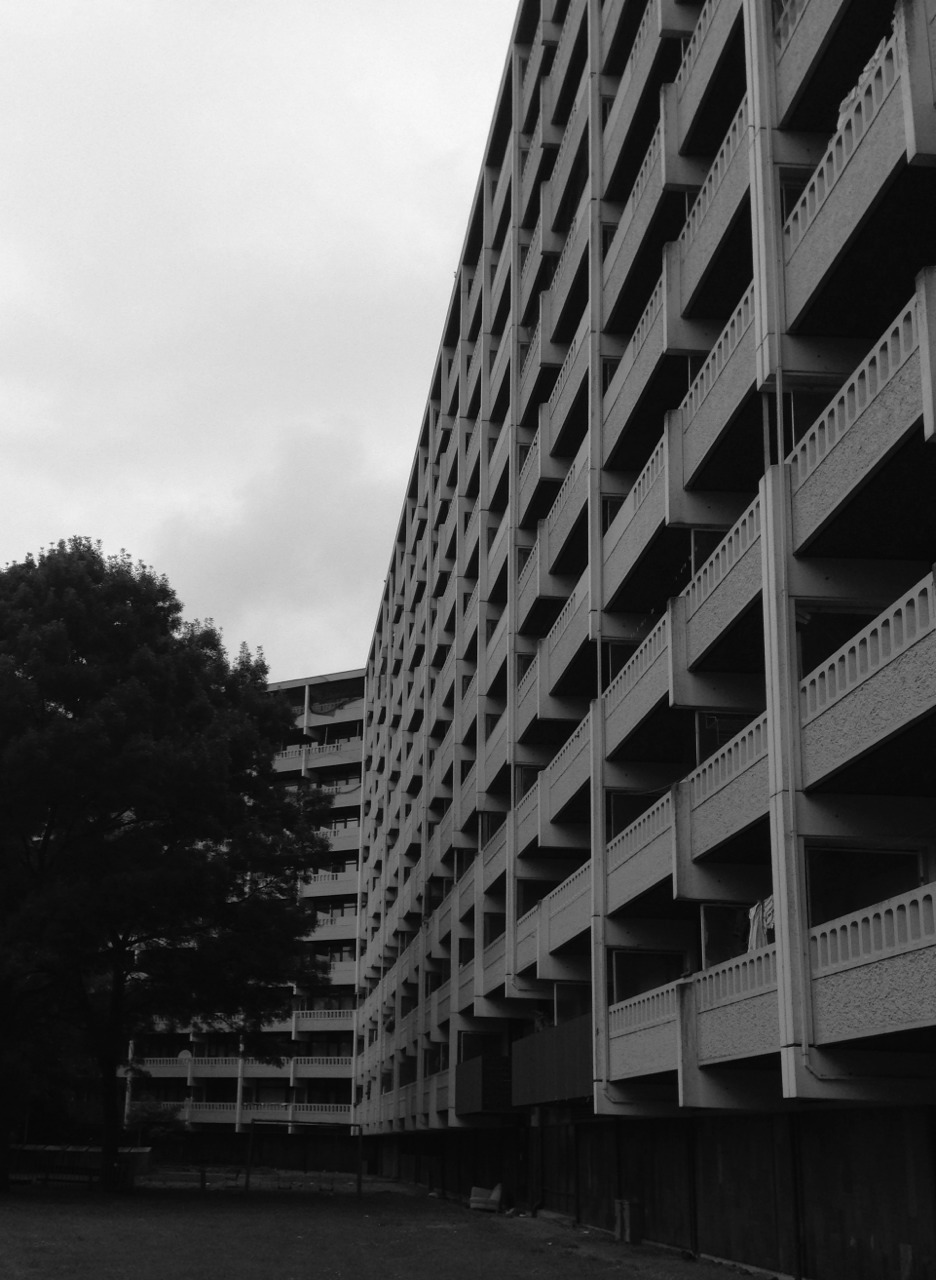 Archillect ID 72939