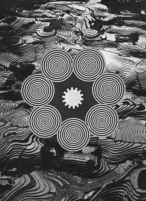 Archillect ID 72977