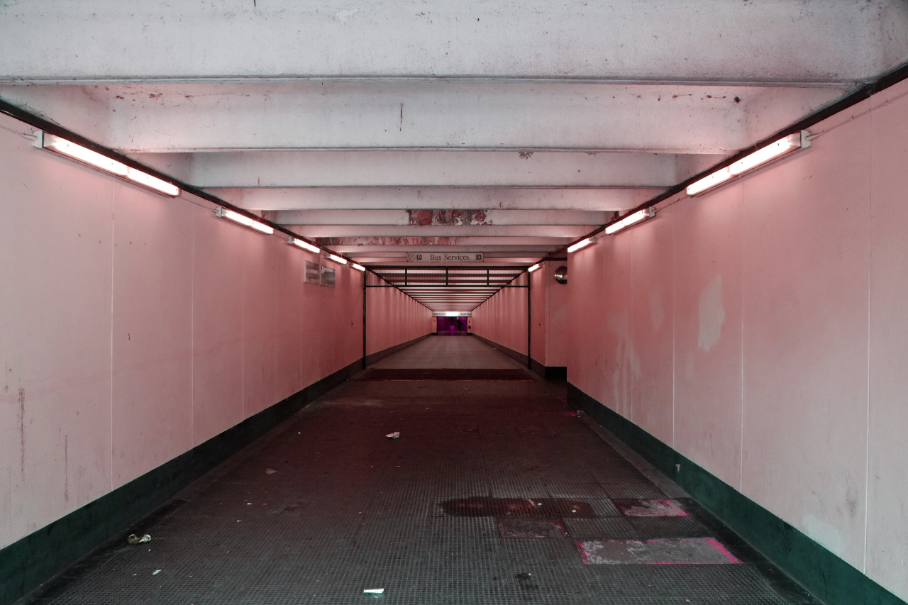 Archillect ID 73003