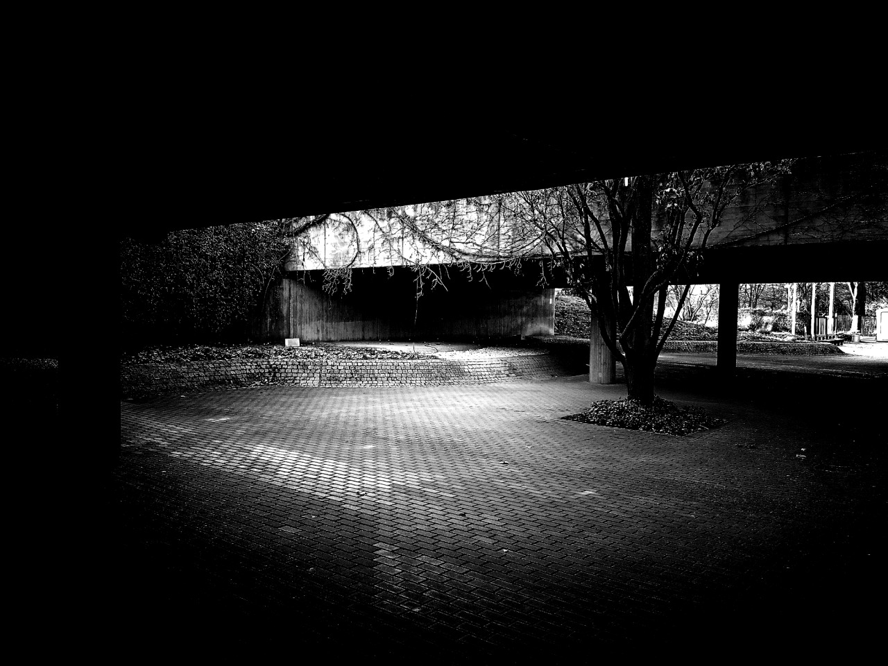 Archillect ID 73044