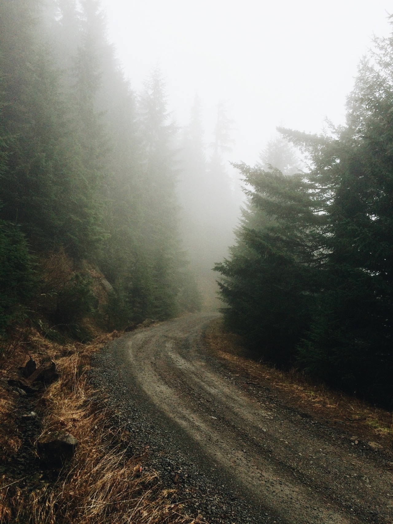 Archillect ID 73086