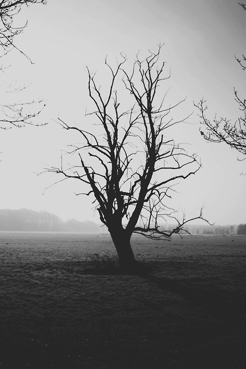 Archillect ID 73215
