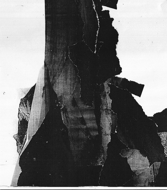 Archillect ID 73216