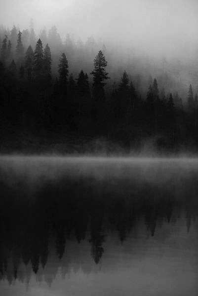 Archillect ID 73282