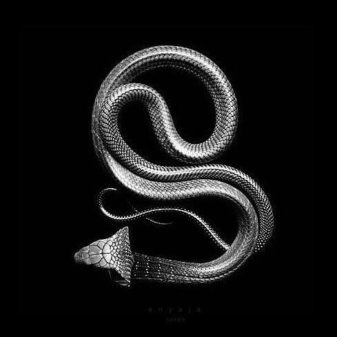 Archillect ID 73327