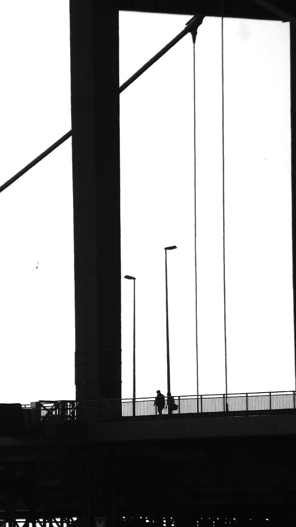 Archillect ID 73352