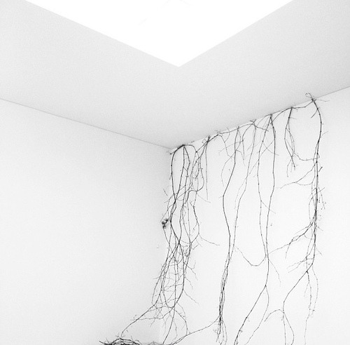 Archillect ID 73391