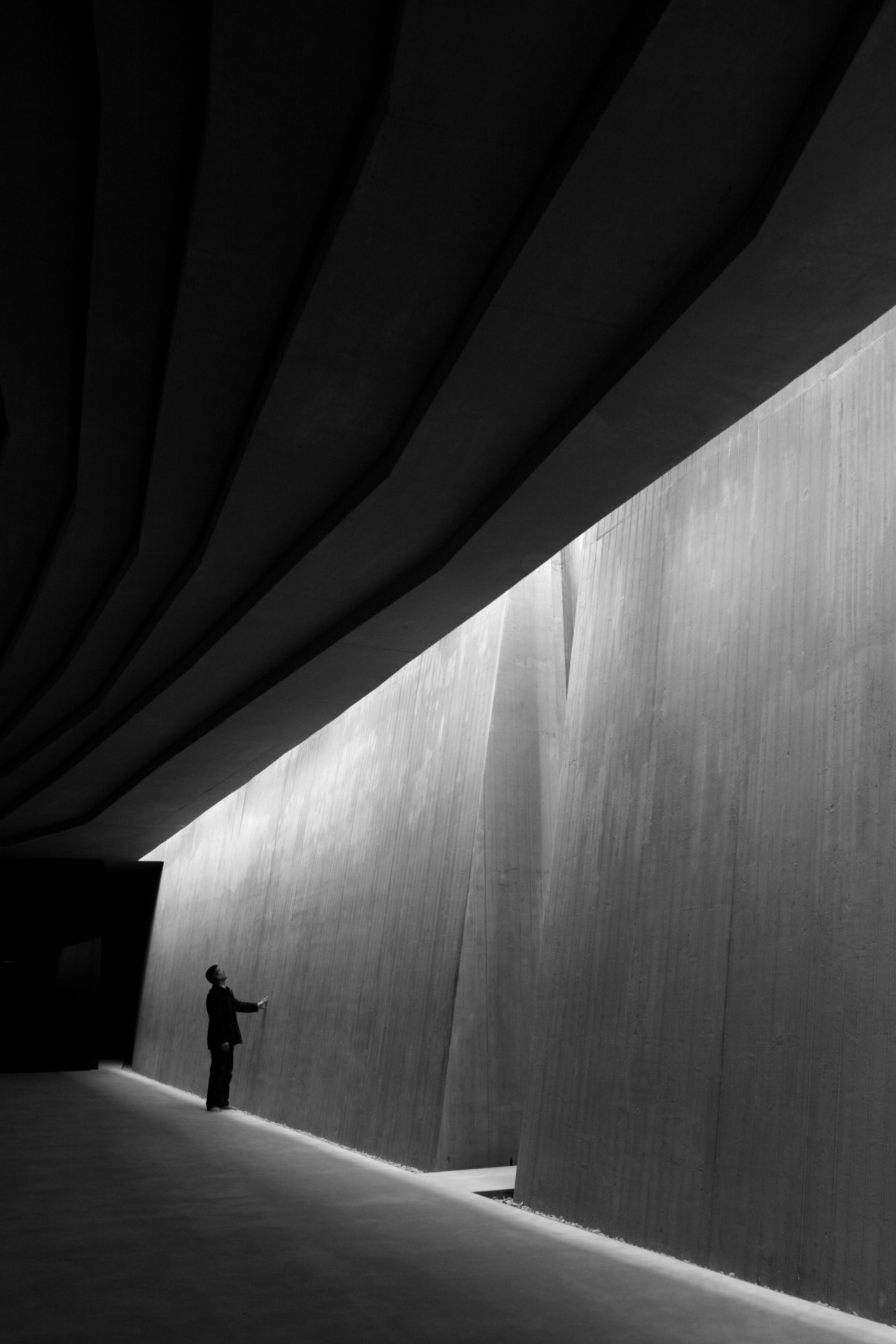 Archillect ID 73431