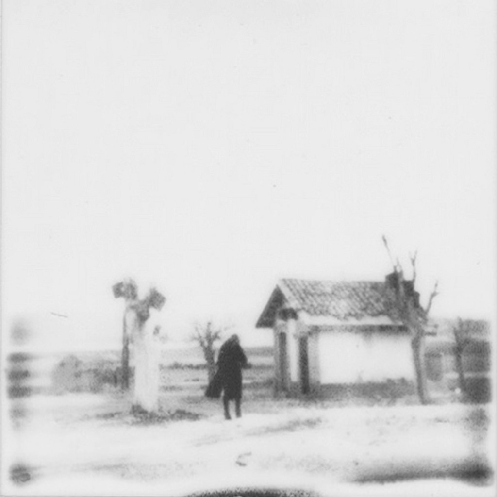 Archillect ID 73494