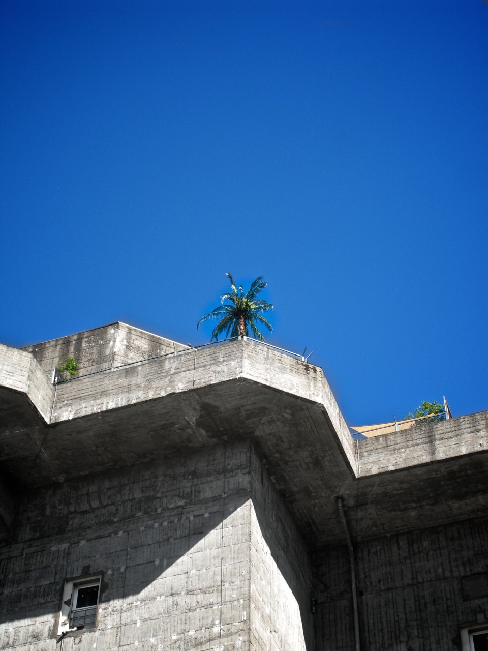 Archillect ID 73566