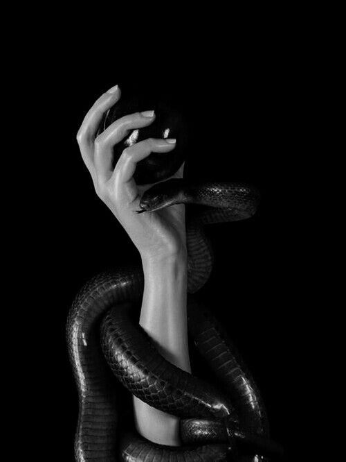 Archillect ID 73586