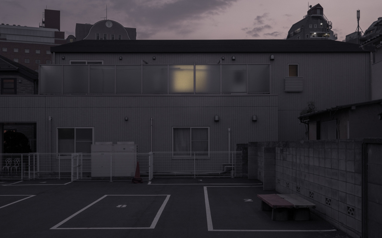 Archillect ID 73691