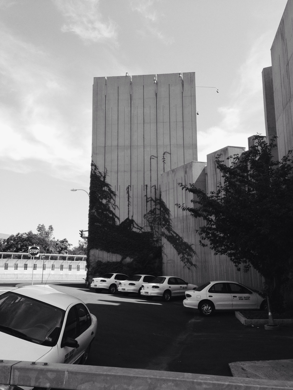 Archillect ID 73788