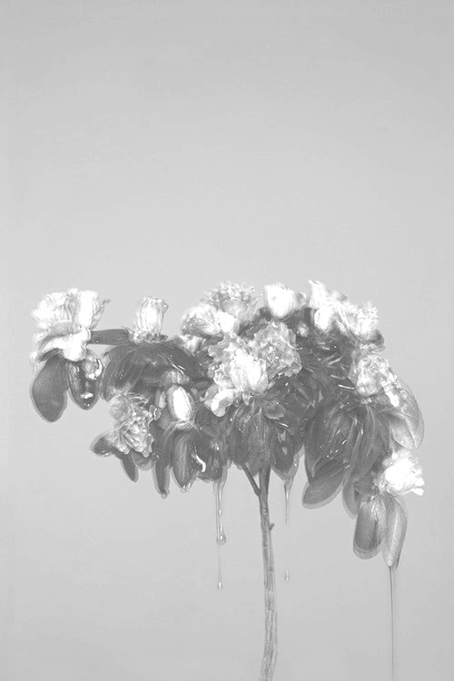 Archillect ID 73853