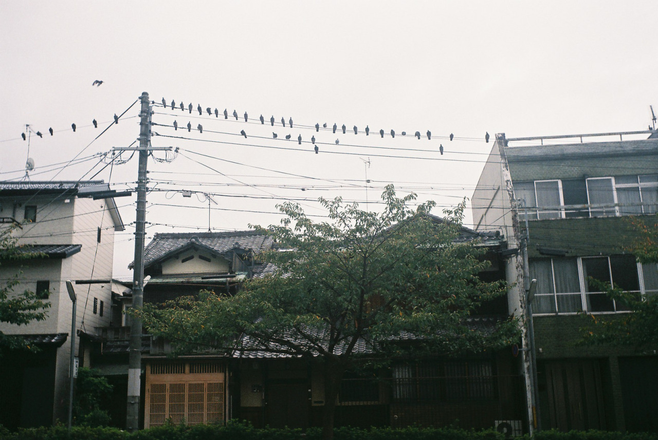 Archillect ID 73900