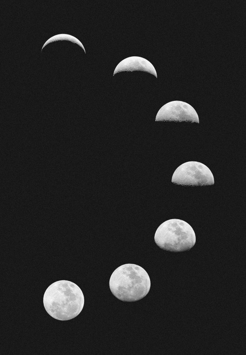 Archillect ID 73922