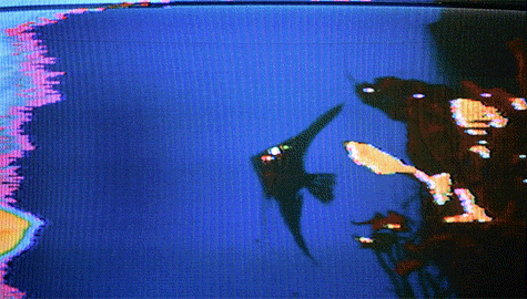 Archillect ID 73936