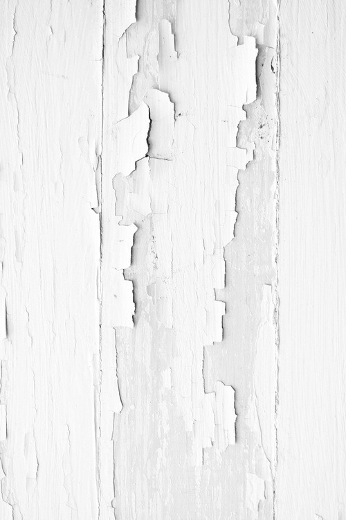 Archillect ID 73954