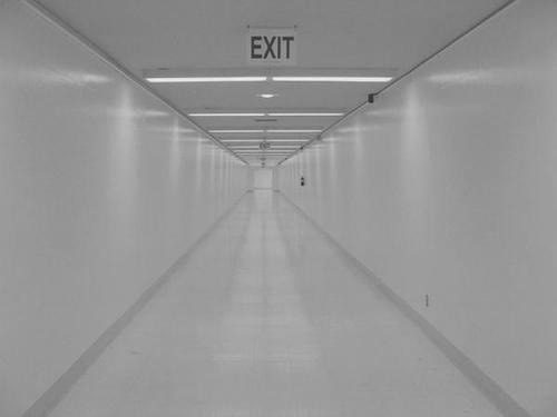 Archillect ID 74001