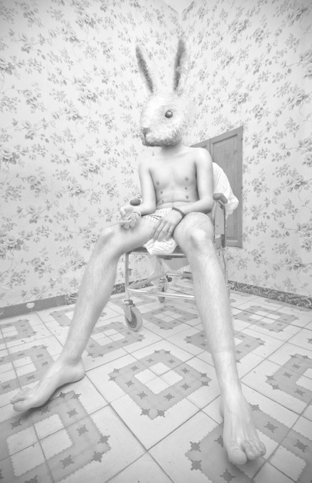 Archillect ID 74002