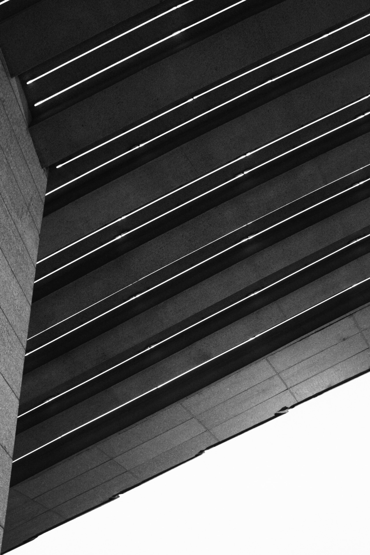 Archillect ID 74029