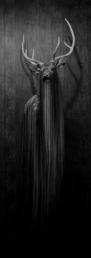 Archillect ID 74060