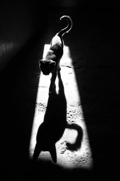 Archillect ID 74096