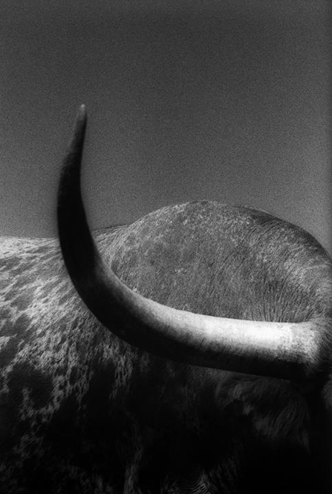Archillect ID 74147