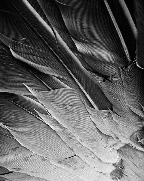 Archillect ID 74216