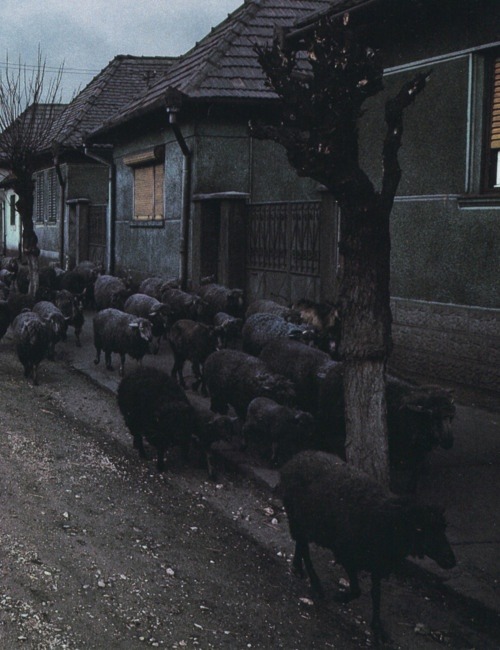 Archillect ID 74239
