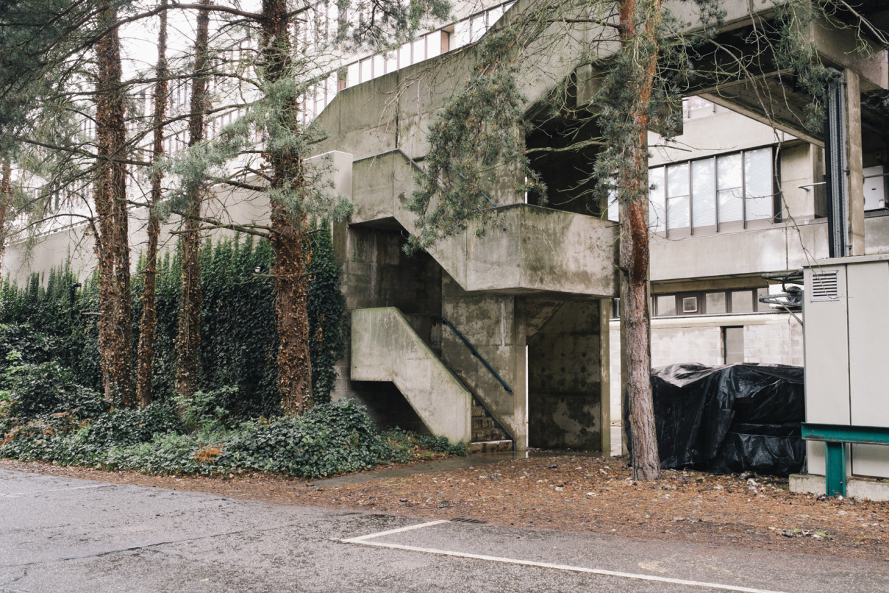 Archillect ID 74264